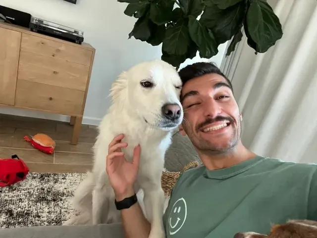 Photos of Alex's dogs